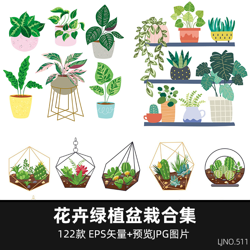 墙绘素材丨花卉绿植插画4