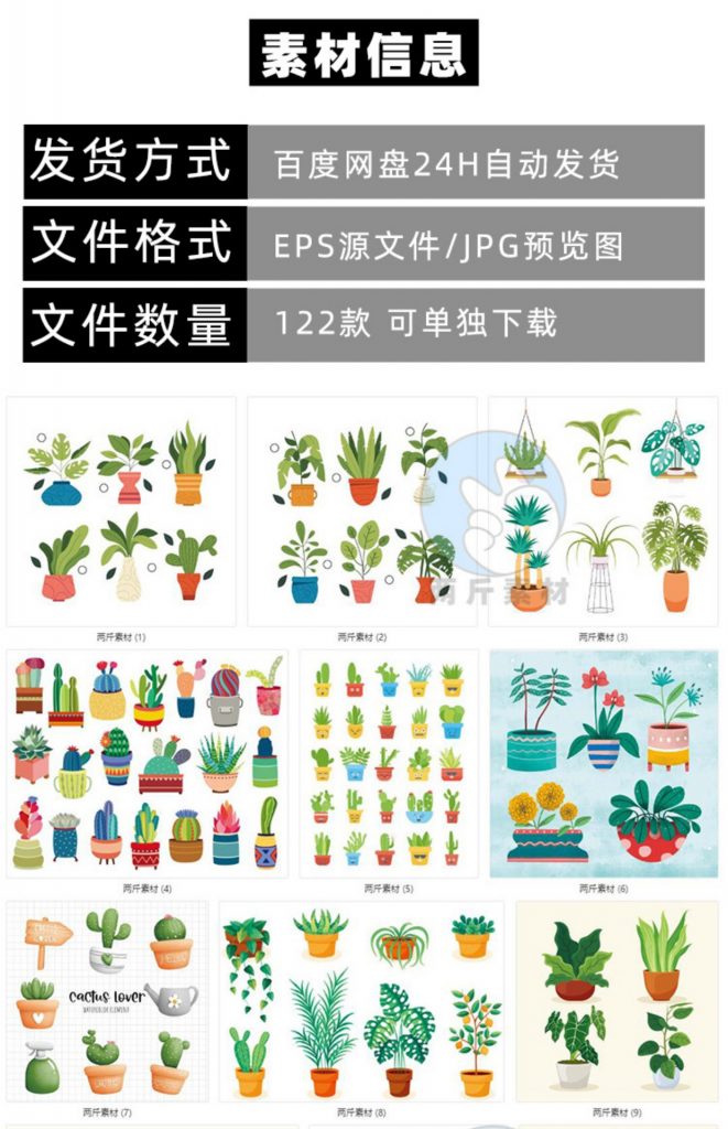 墙绘素材丨花卉绿植插画4